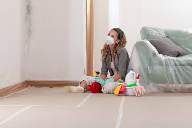 Reliable Mold Testing contractor in Belvidere, NJ by WQB Mold Removal